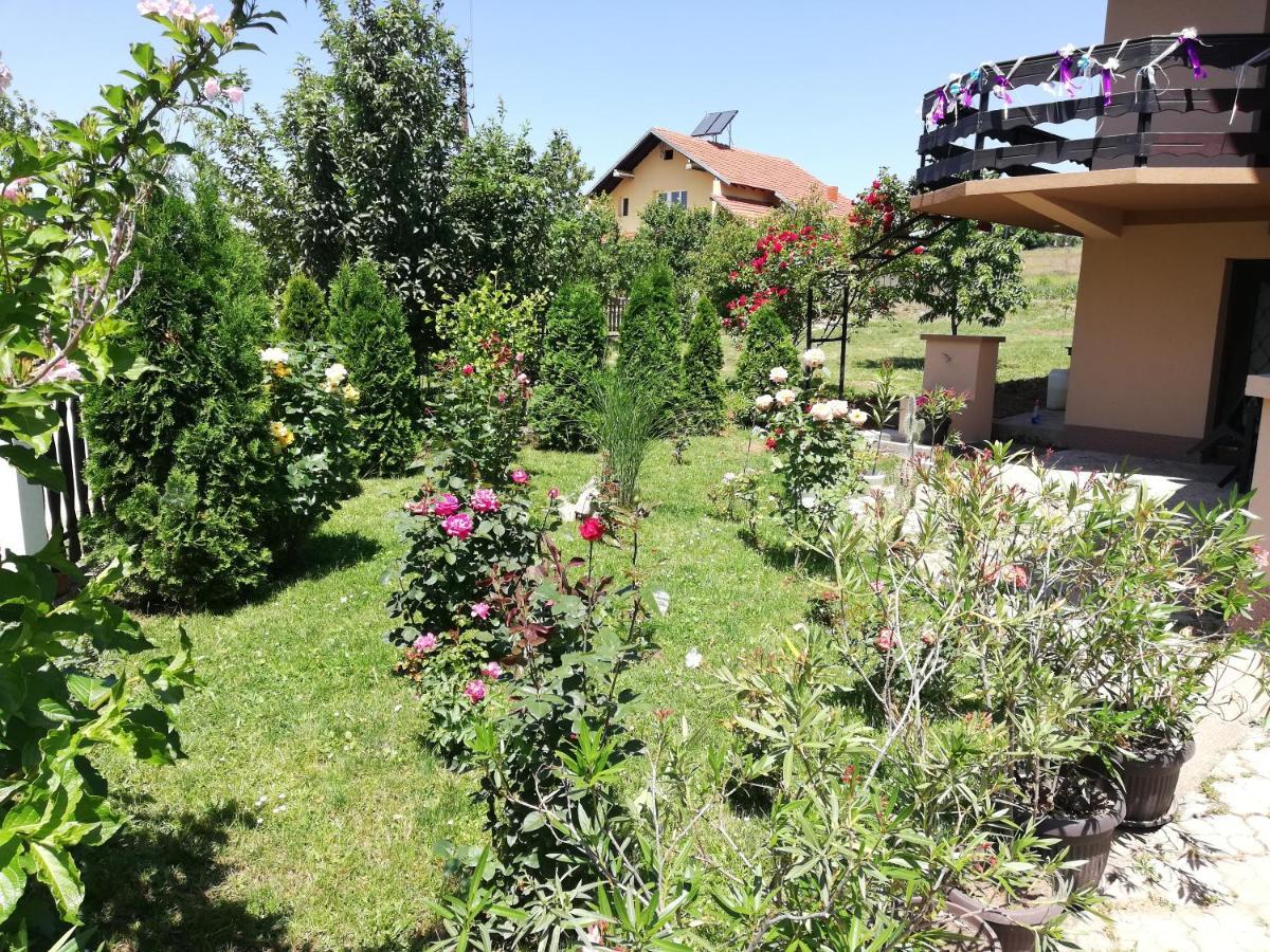 Apartmani Tvins Сокобаня Экстерьер фото